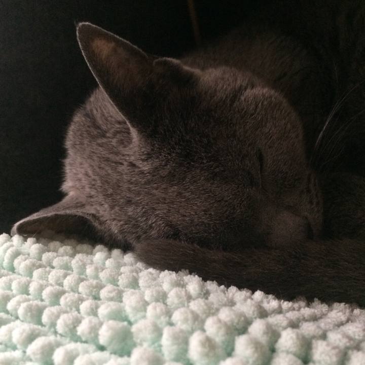 Af8ae015 d76f 48ed 84dc 2fc7e3250b6a 1547678354539