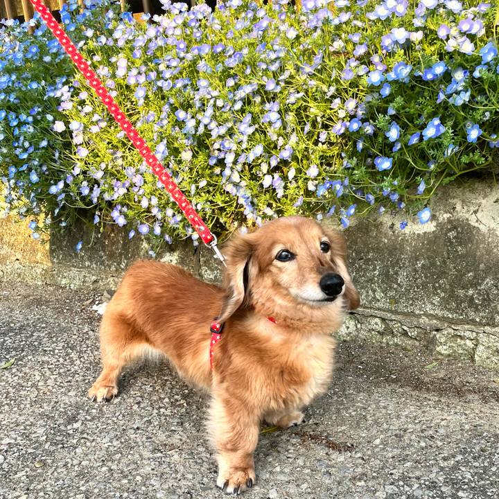 Af8b38fb 9258 4877 b066 4ef401eb1106 1651841115108