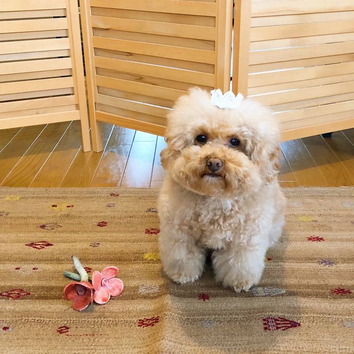 Af8b57d4 877b 4023 a641 abbdc04ee0bf 1514859996666