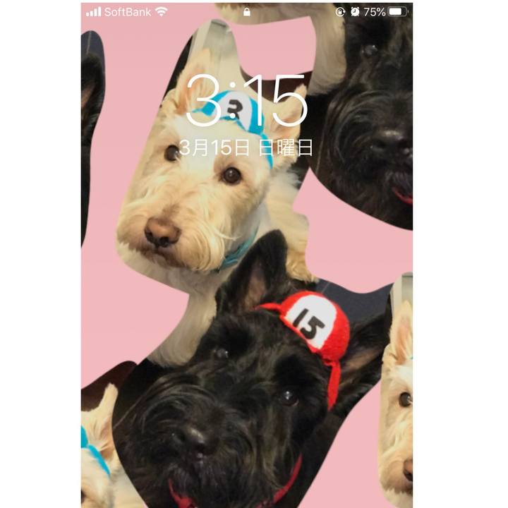 Af8b724e 272f 404c 9ef0 396ed4e9e343 1584253461761