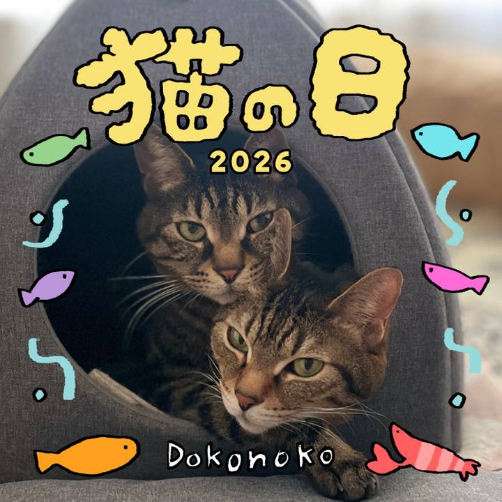 Af8b7ee2 4e07 4077 9cfe 9f4fdb68d097 1771720708201