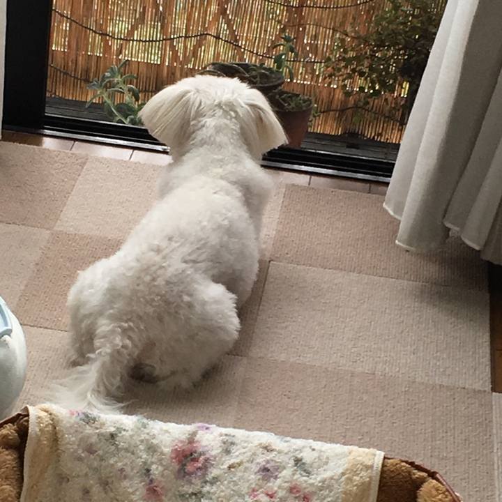 Af8b94a7 9358 4f2b a6cb 7ef0279d7663 1570078601944