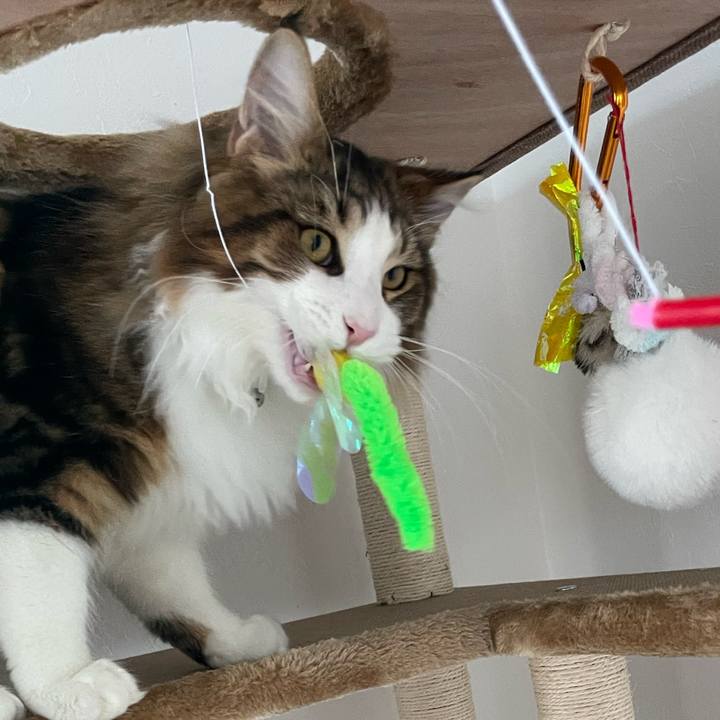 Af8bf849 6a10 4d44 8c03 94638c7f6291 1641688115598