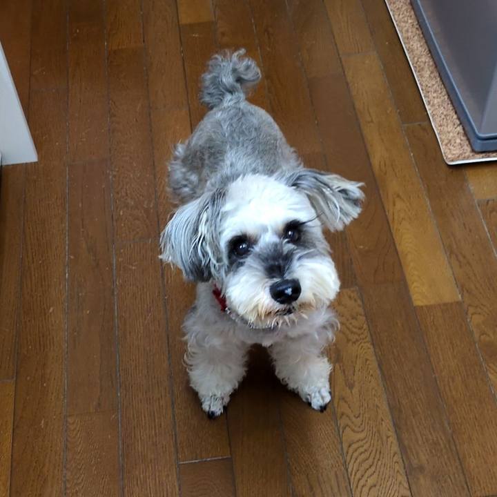 Af8c1c85 69c9 41e3 a3e9 cb2c6d88c34b 1762008891760