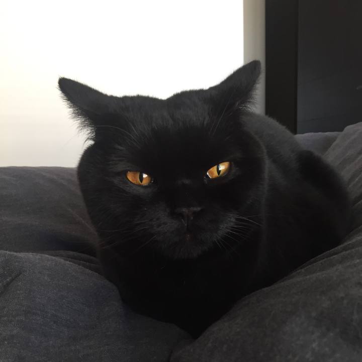 Af8c26e6 bcb8 40a8 95d9 73568c6a25ea 1547640713886