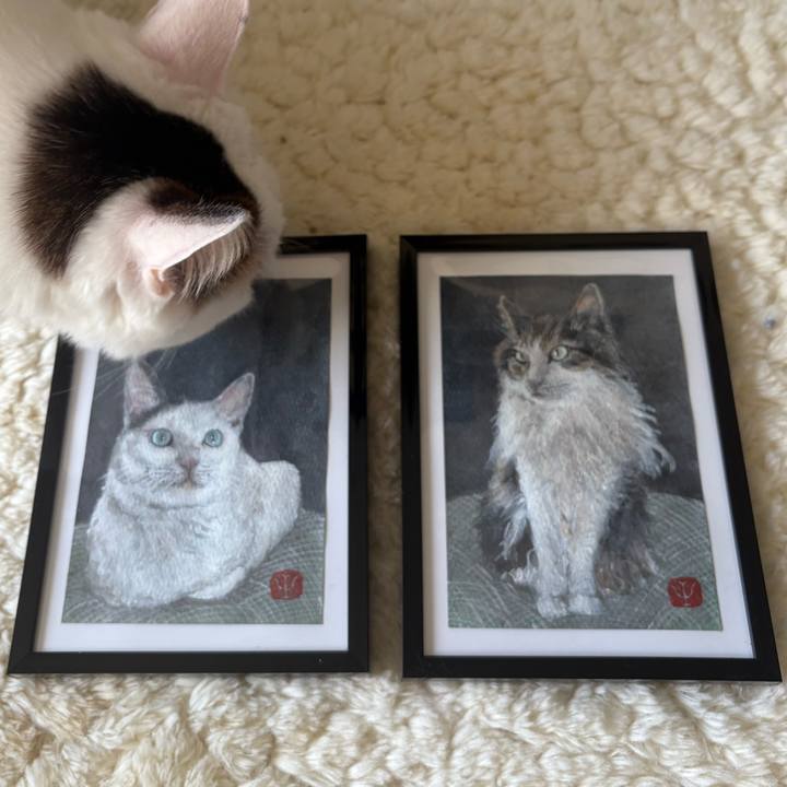 Af8c3f70 abb1 4e6a b202 7298144fd04b 1739516397466