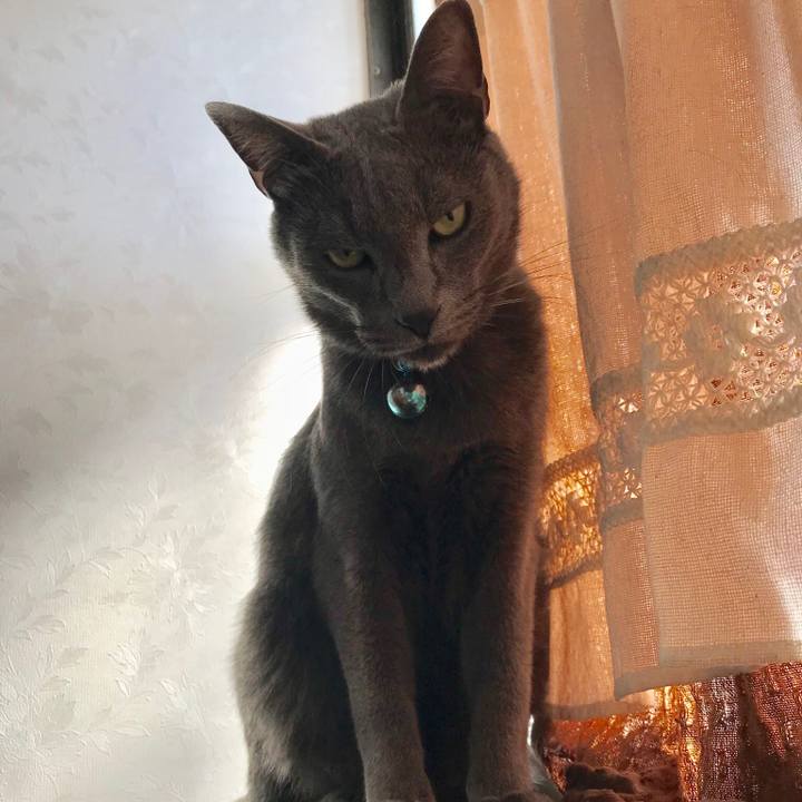 Af8c4486 4ac3 4656 85dd 0fe3c23fae26 1523348470941