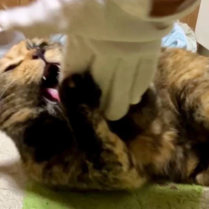 Af8c458c 7bad 4614 9718 dbccdcd5cdc2 1734205803428