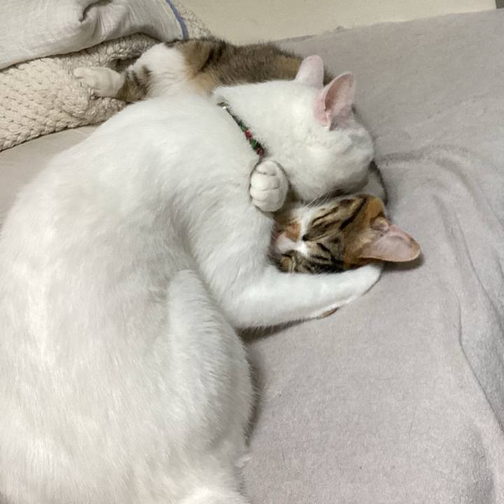 Af8c7c8b 7234 4a25 a8e5 d79c3689c68d 1663205099562