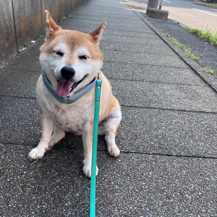 Af8c8358 c6d1 412e bc8b e536c30e055d 1722727769595