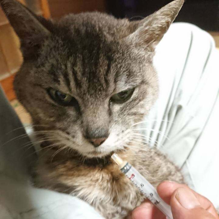 Af8c91c5 85e6 45ab 8972 e63d61193207 1594115367886