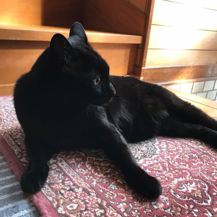 Af8cc7d3 7ffb 491b a62c 9705cba2ee10 1522288548071