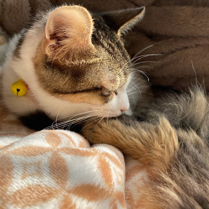 Af8cdca7 2936 4f21 9ed3 1033ff8d40b2 1704341659319