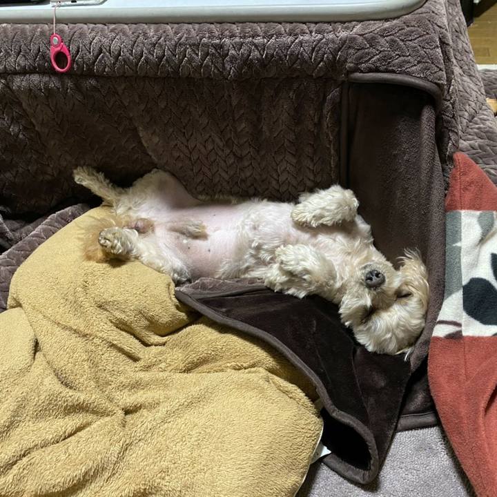 Af8d0ff8 24e1 42c8 a085 27a375c4ea36 1607787704253