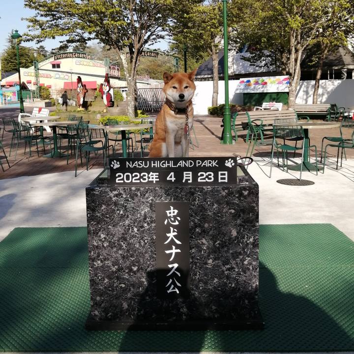 Af8d58f3 d0d0 4616 b171 efb5227a0d53 1682480129974