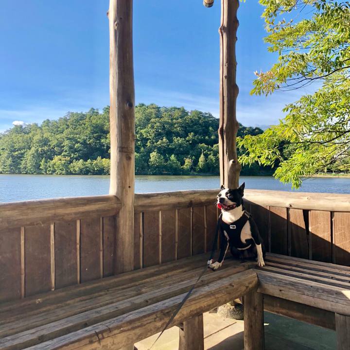 Af8d8573 c37d 43d2 9b4d 9cc38a368416 1534503489717