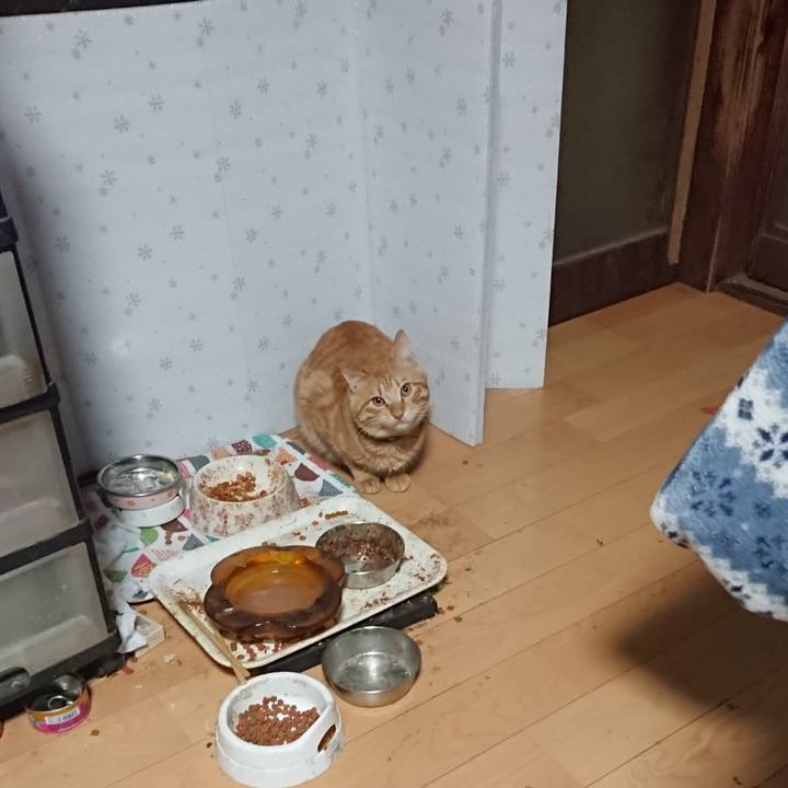 Af8dad27 a8bb 4143 a2ea 9ecee28c72af 1644788903954