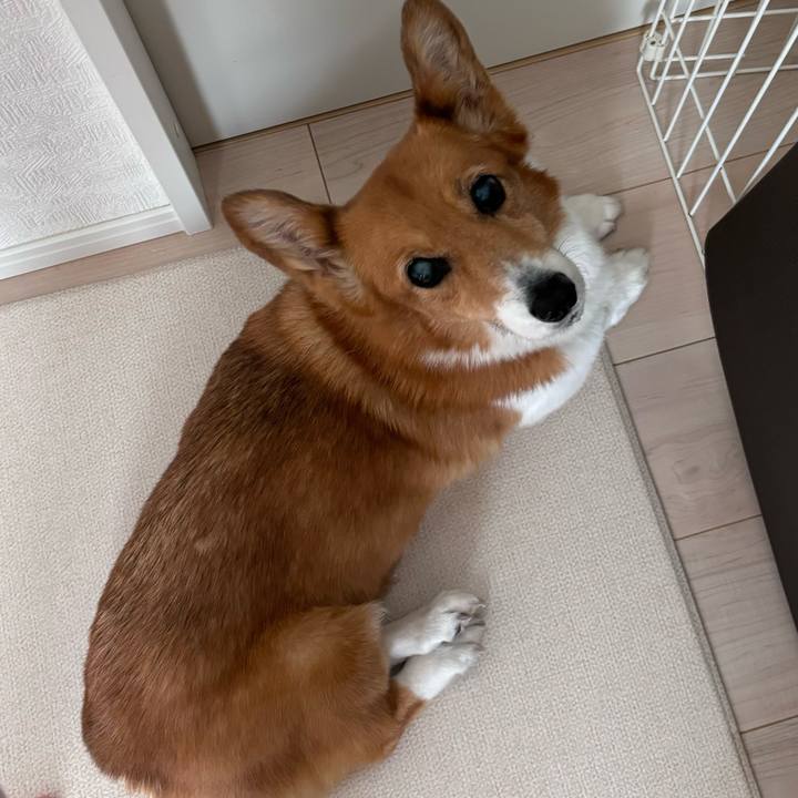 Af8db921 25b4 48b3 b6e8 f961f4e8fd54 1763286631769