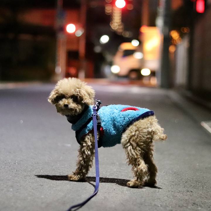 Af8db971 2856 4d0c b03c 4d572ba99d86 1550527975367