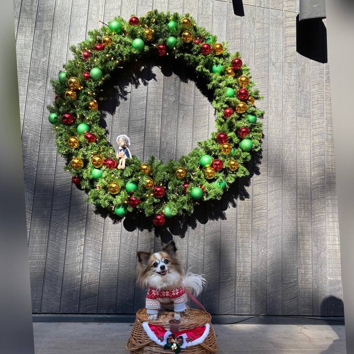 Af8dbec6 d310 406a bac0 b7a7749ca336 1765191126614