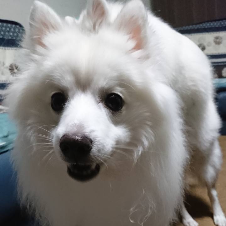 Af8dc0e9 33e8 48be 91df 174e922ecb29 1578040019946