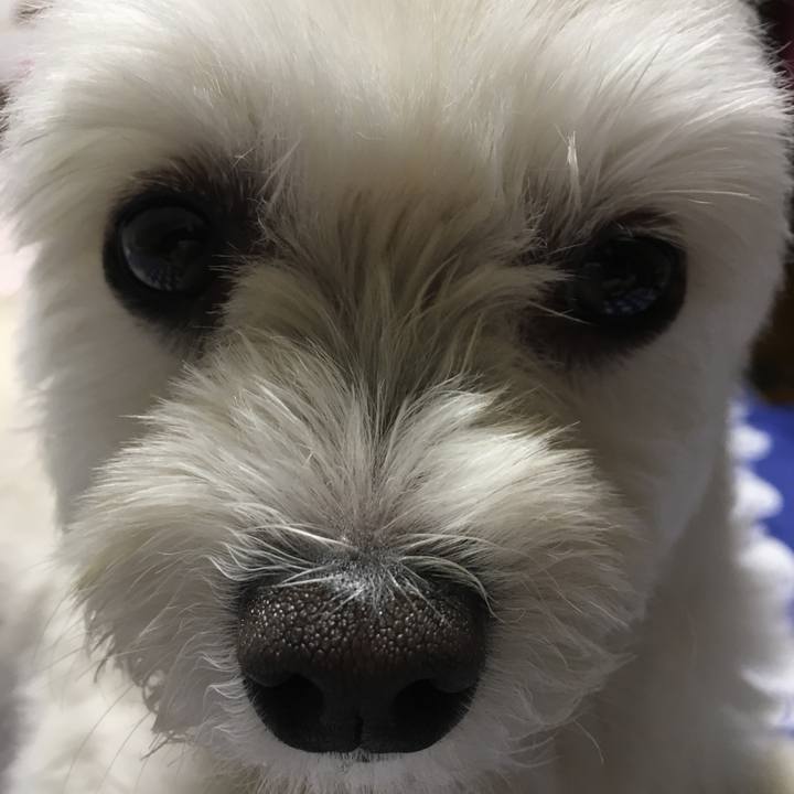 Af8e03a7 cb5a 4df1 8ea6 81215c51f646 1536405582797