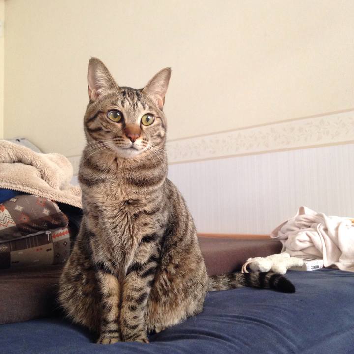 Af8e4012 94d9 4de1 83da 33c91fcbee77 1512443313536