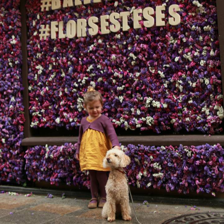 Af8e5300 f57a 4ab2 8e6d 0446b32f8a12 1557780036520