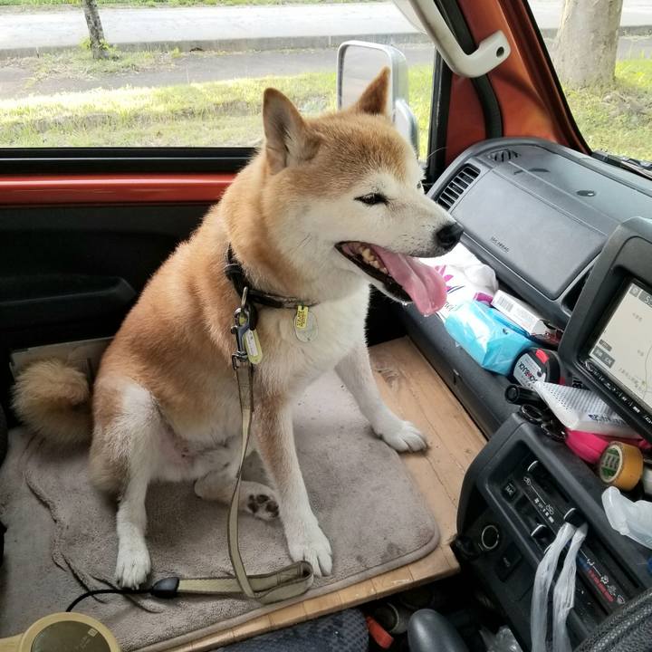 Af8ee45e 648e 486e 8a4e fecdfa423c32 1659171588059