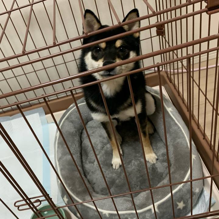 Af8efdfe f2f4 4941 8841 5e346b027389 1578097802740