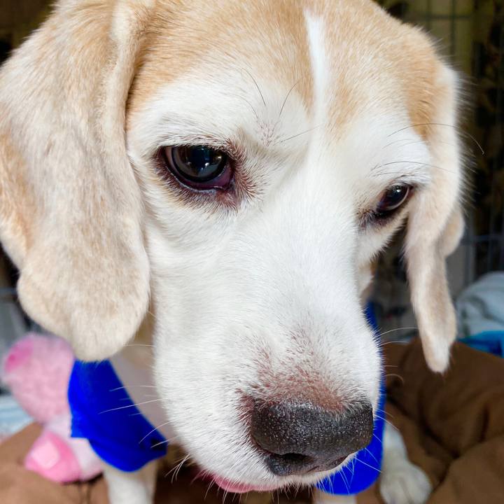 Af8f0c98 532e 4190 9f0f 8581700d85df 1589244645960