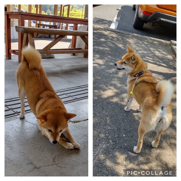 Af8f3112 cbd8 40be bce3 2683625e795e 1683014942186