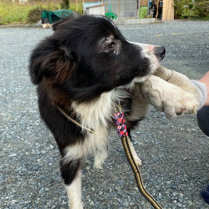 Af8f4ea9 c865 49a3 b27c 3b2d58d1fba8 1636885130139