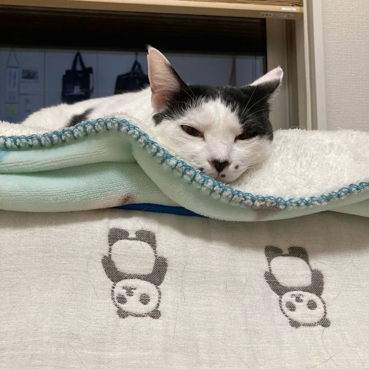 Af8fa19f ebca 47a1 822c cf3381b471f5 1758630999173