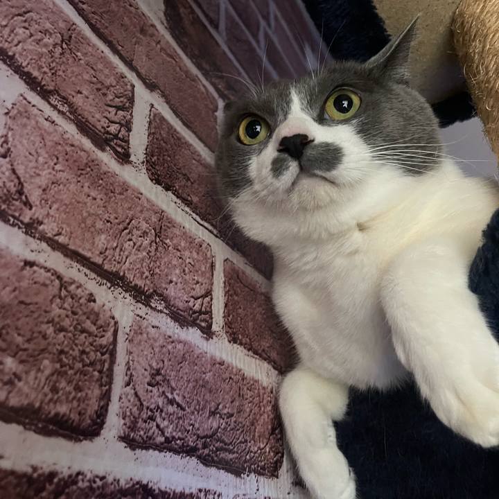 Af9018eb 6d48 493d ad1e d41ea1a5a054 1734483511482