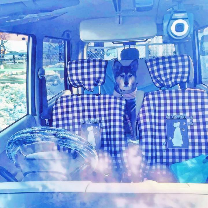 Af902416 61d7 443e ba6c eac9a7f9db98 1517325624043