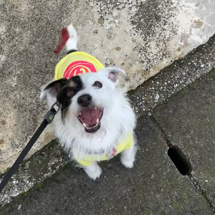 Af9052ef fb21 449c b9b7 772e03689d5f 1686699034161