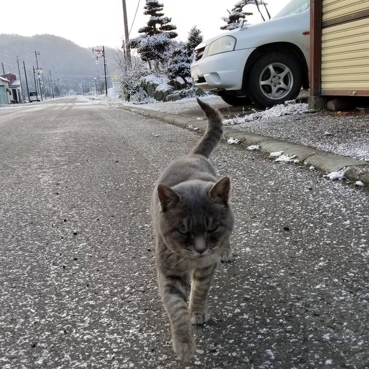 Af905fc0 d592 4fab 9fa0 2ff4526d5fa4 1542891686354