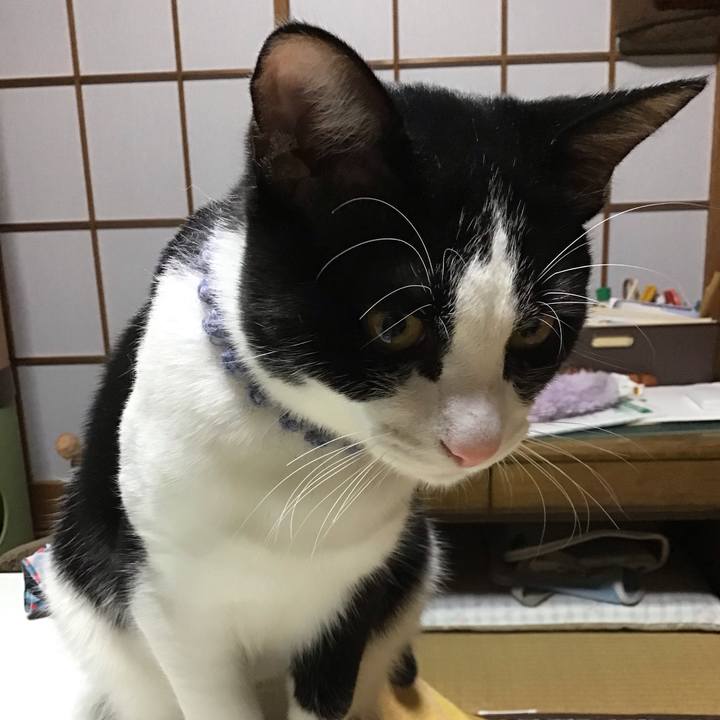 Af908755 9399 4784 bd76 a949f4ad1019 1639388896287