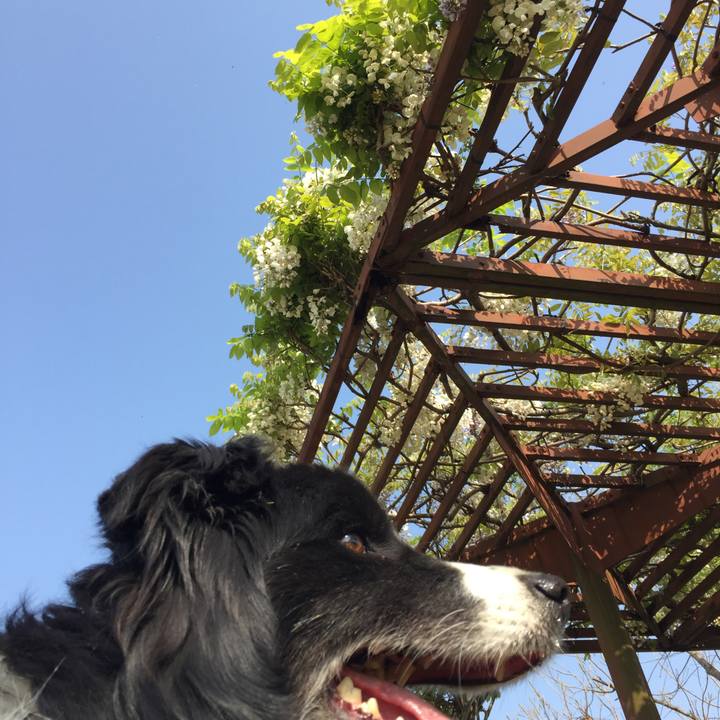 Af90b586 b7a0 49b1 8592 854bd1204af9 1555721660851