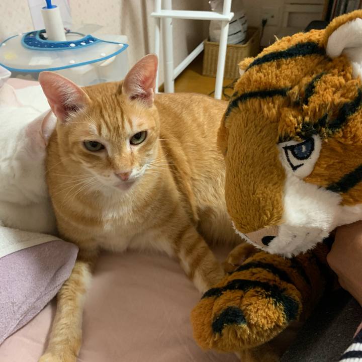 Af90f4f1 3ee1 4249 988c 96dc309b836c 1572690073278