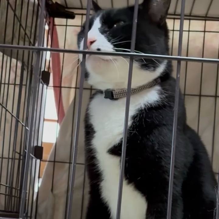 Af914b8a 8d2c 47a1 bc8e 7d2d5e46db53 1745920139641