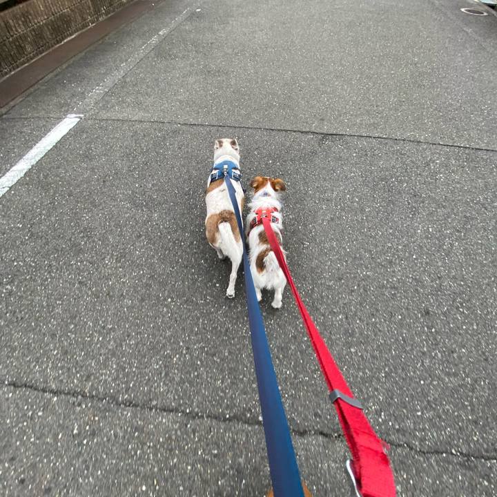 Af91556b fa2f 46c8 97e9 228a66a7292a 1665277865335