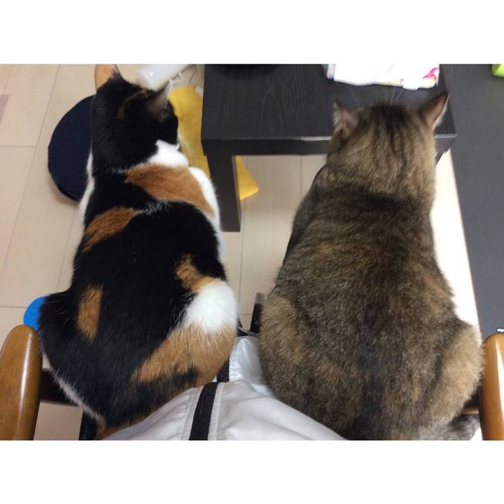 Af915871 bc2c 4a31 9b23 3bf7e21ce589 1521413933073