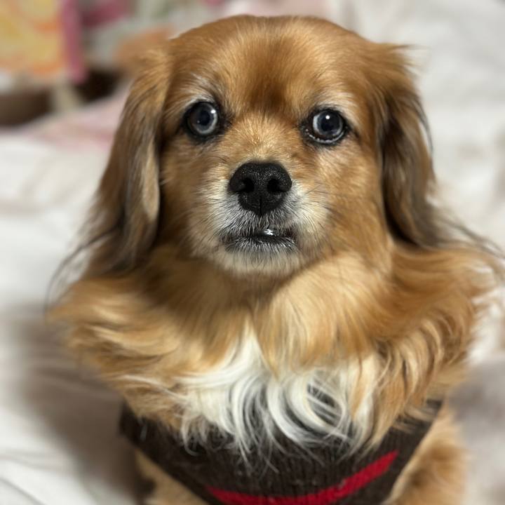 Af917d47 b3d4 4502 bfc9 ee0eead5497a 1737234164997