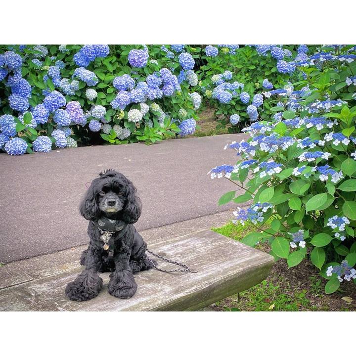 Af9196ce ec4f 4b43 877a cb8727cfb0e4 1655649607170