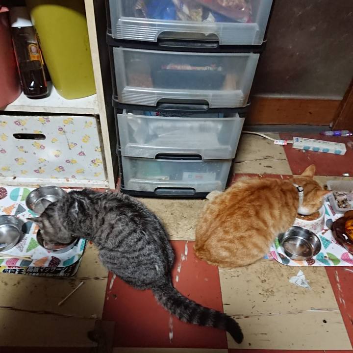 Af92a9d0 11af 4c0d a975 7a542c6b3dcd 1589226586074