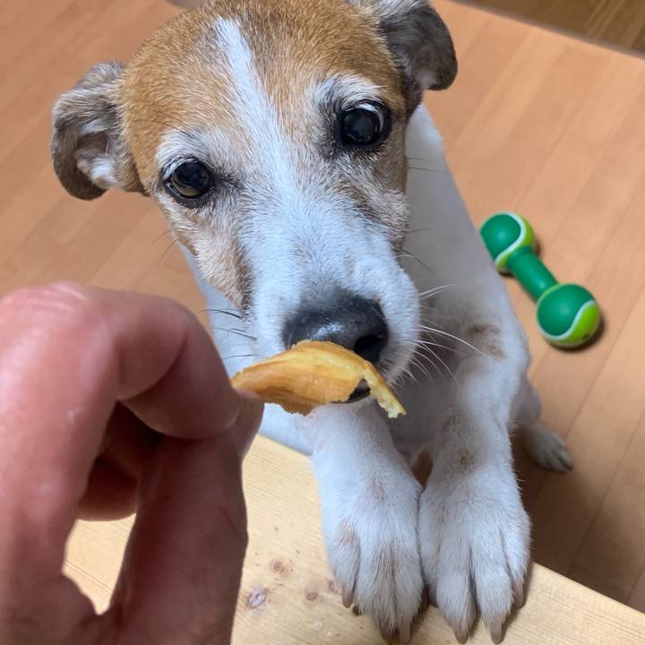 Af92b4b2 fc4c 4902 b869 9dbc296033fc 1559858737552