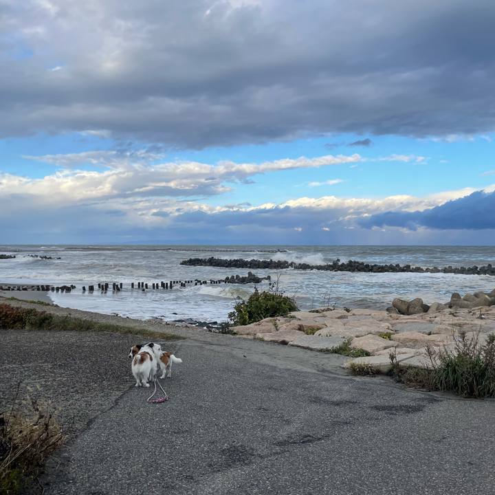 Af92d614 9347 47ef 9aee fd6684ed502c 1761609018147