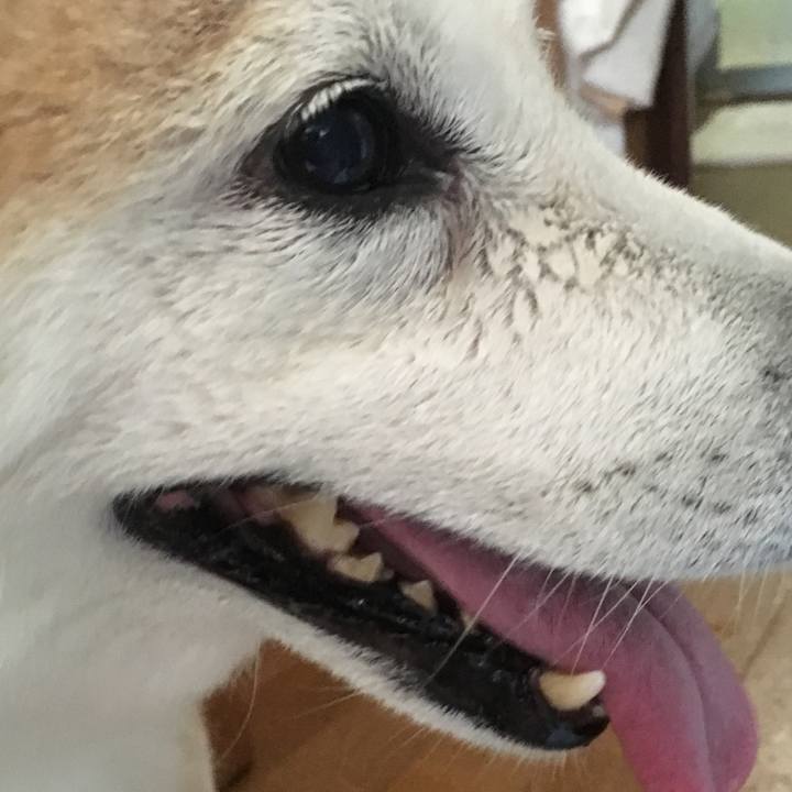 Af9305f5 527a 46d6 a6f0 64a15692f9a3 1531707677416